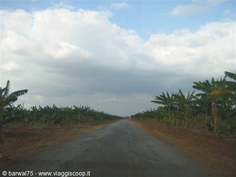 On the road
