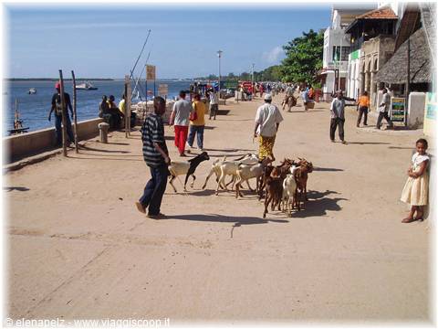 Lamu