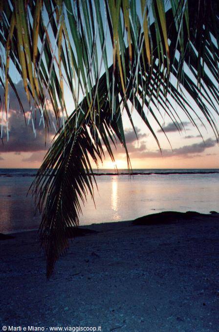 Rangiroa - Agosto 2000 - Tramonto con palma