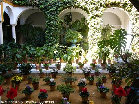 patio a Cordoba