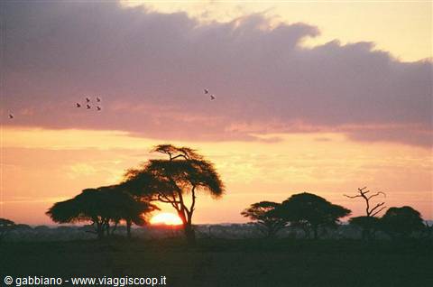 tramonto sulla savana tsavo