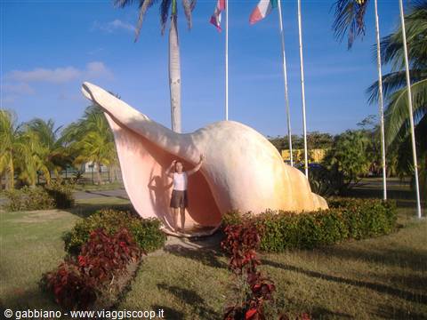 caracol