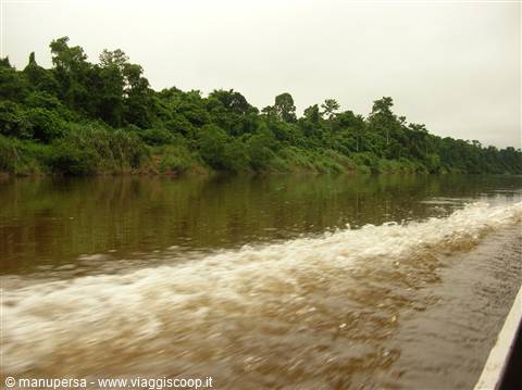 GIRO IN CANOA AL TAMAN NEGARA