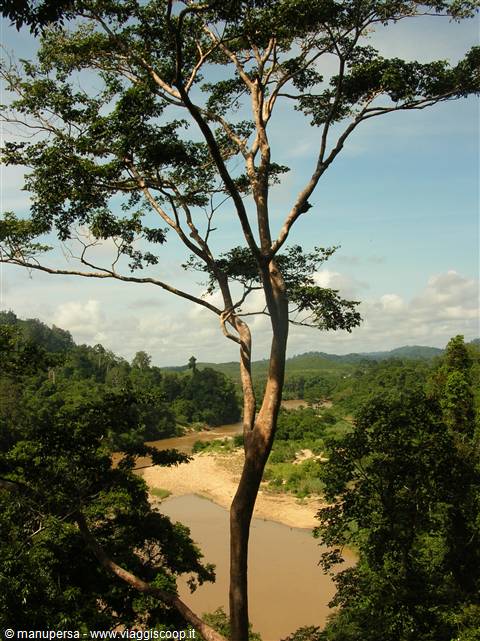 IL CUORE SELVAGGIO DEL TAMAN NEGARA
