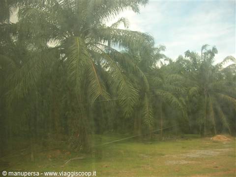 panorami malesiani