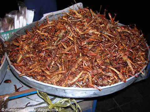 PRELIBATISSIMO SPUNTINO THAI!!SCHERZO!!