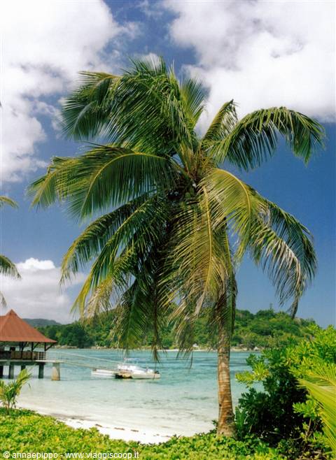 SPIAGGIA NEW EMERALD COVE