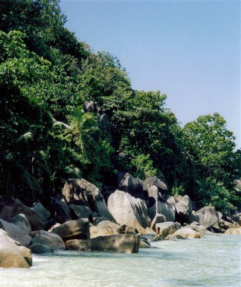 SASSI