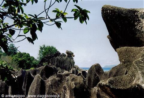 ROCCIA DELLA TARTARUGA A CURIEUSE