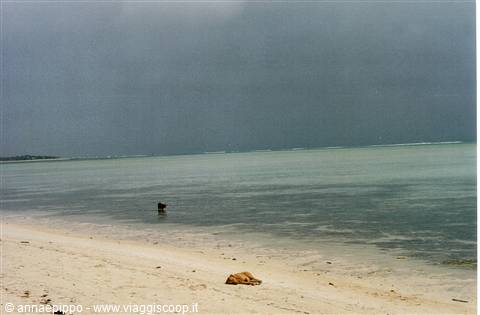 SPIAGGIA DESERTA