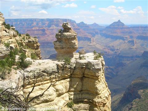GRAND CANYON