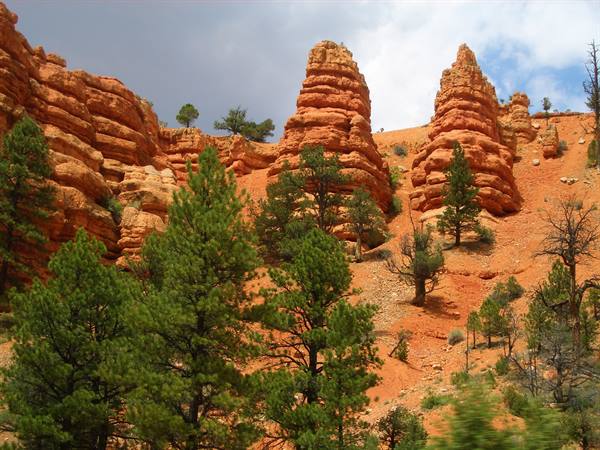 RED CANYON