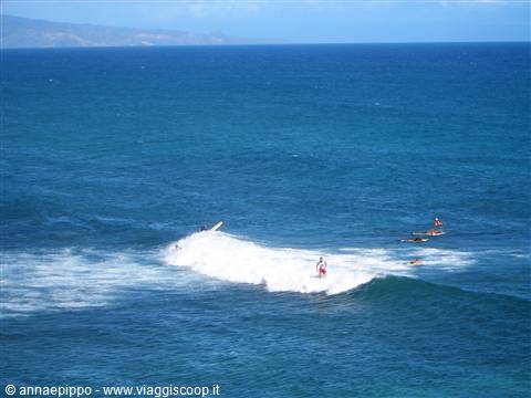HO'OKIPA BEACH -MAUI