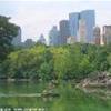 CENTRAL PARK STATI UNITI D'AMERICA 