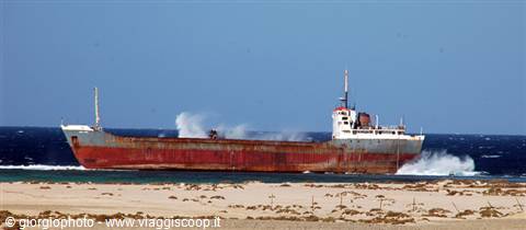 Reef isidiosi