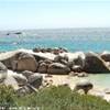 Boulder's Beach SUD AFRICA 