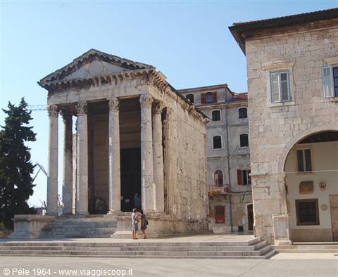 Pola