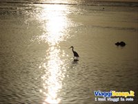 clicca qui per ingrandire la foto