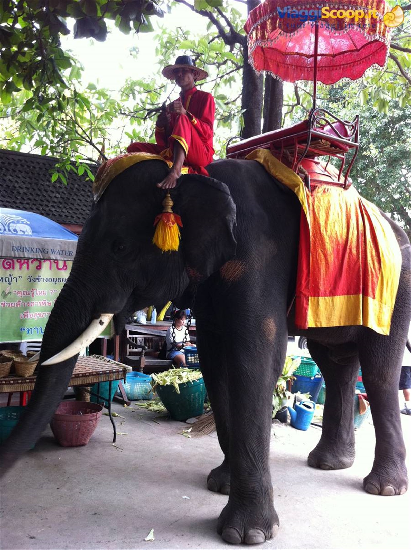 Foto di viaggio in TAILANDIA