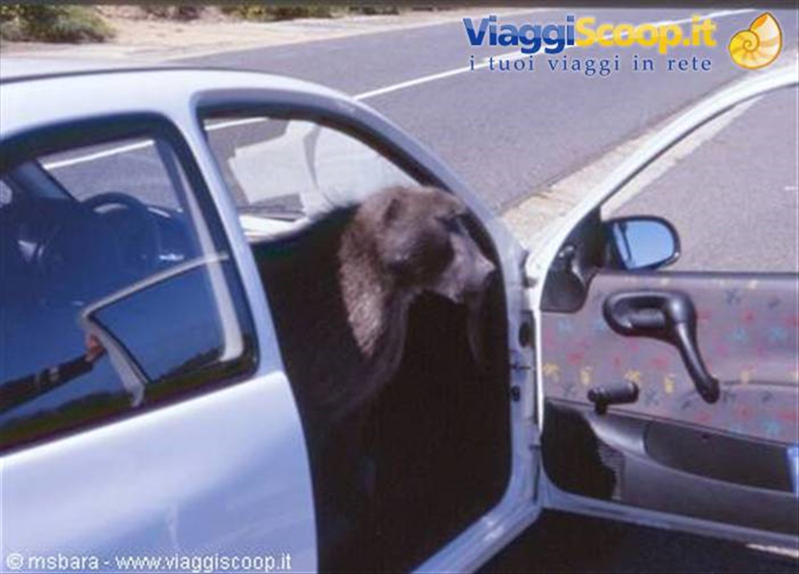un clandestino in auto