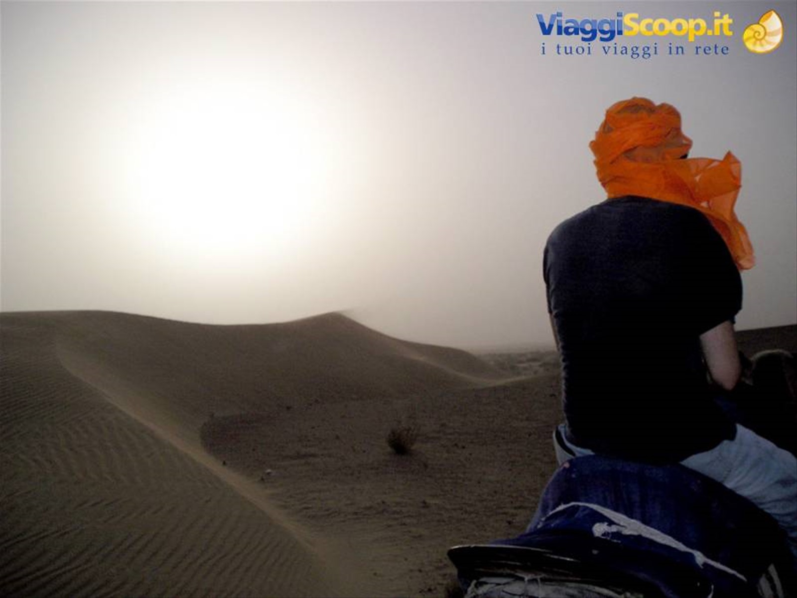 nel deserto del rajasthan