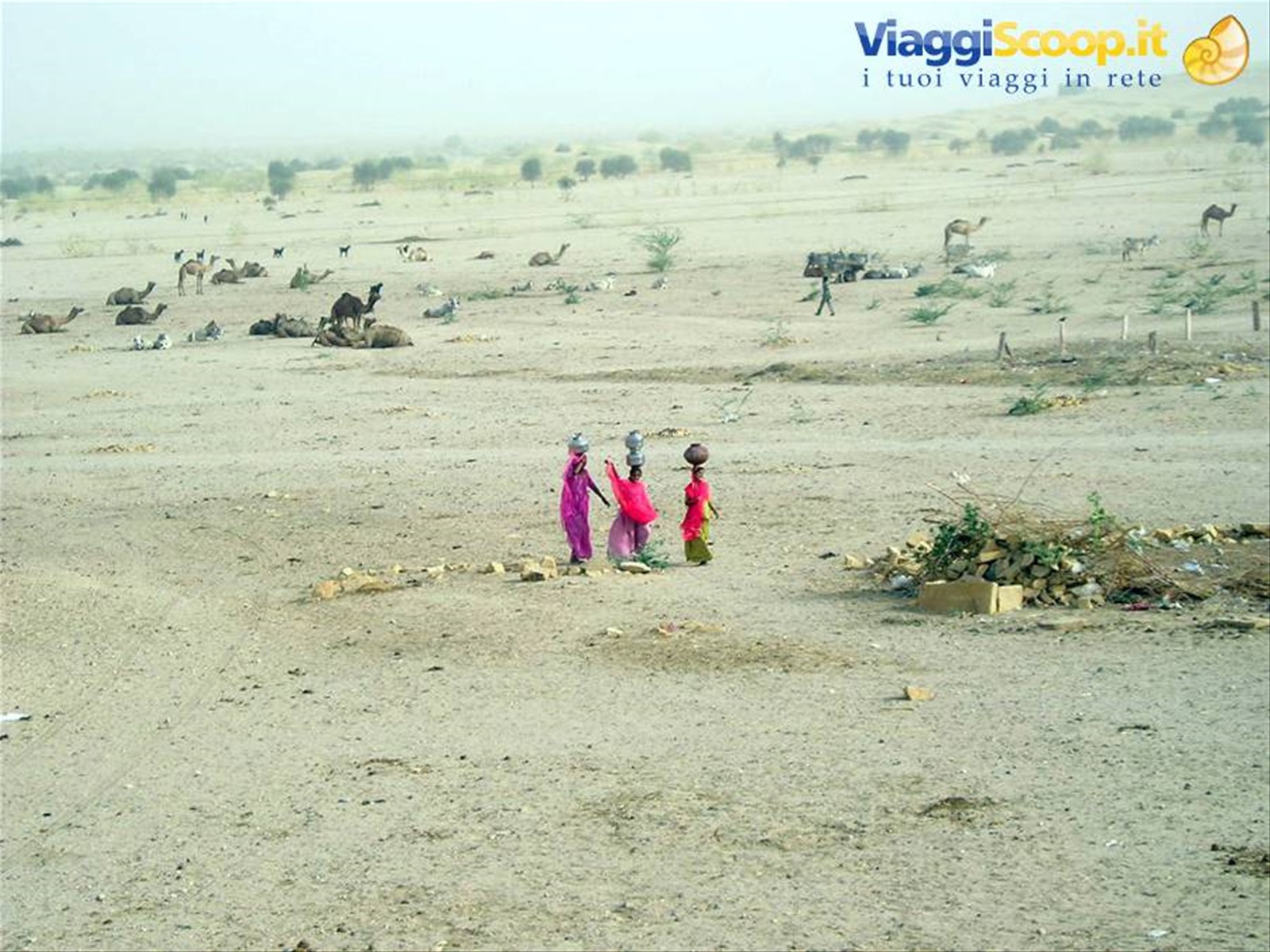 Foto di viaggio in INDIA