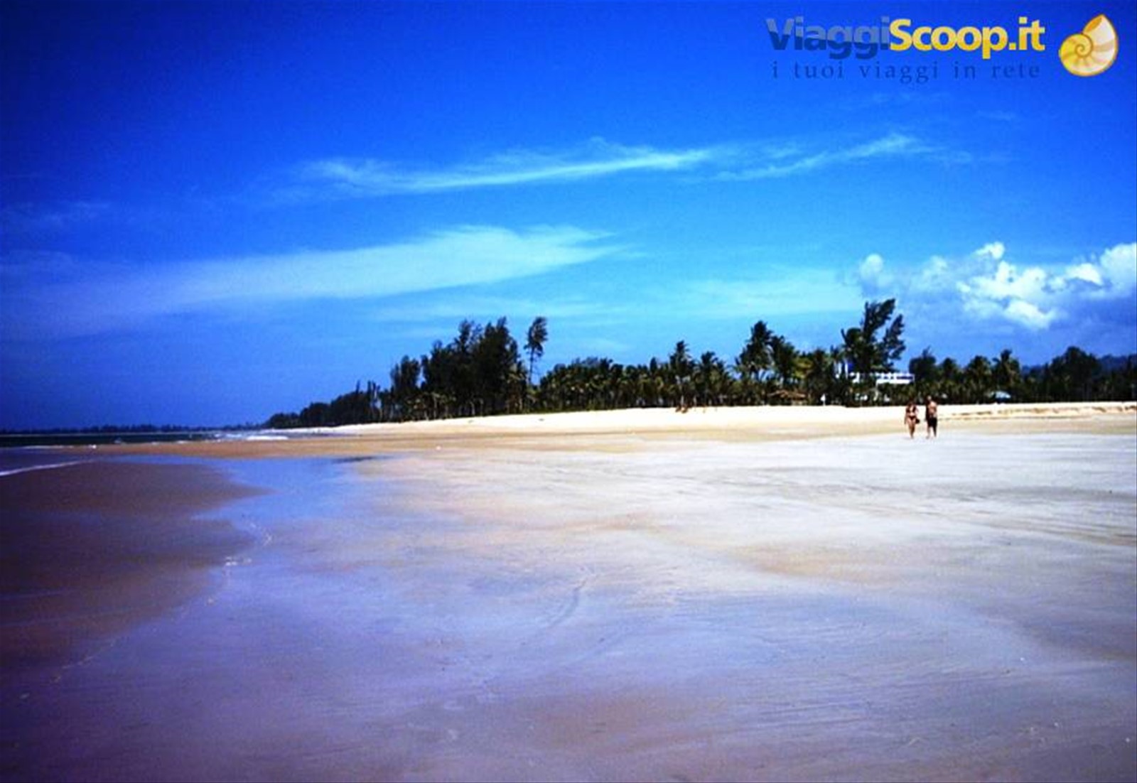 Tailandia 2007/08