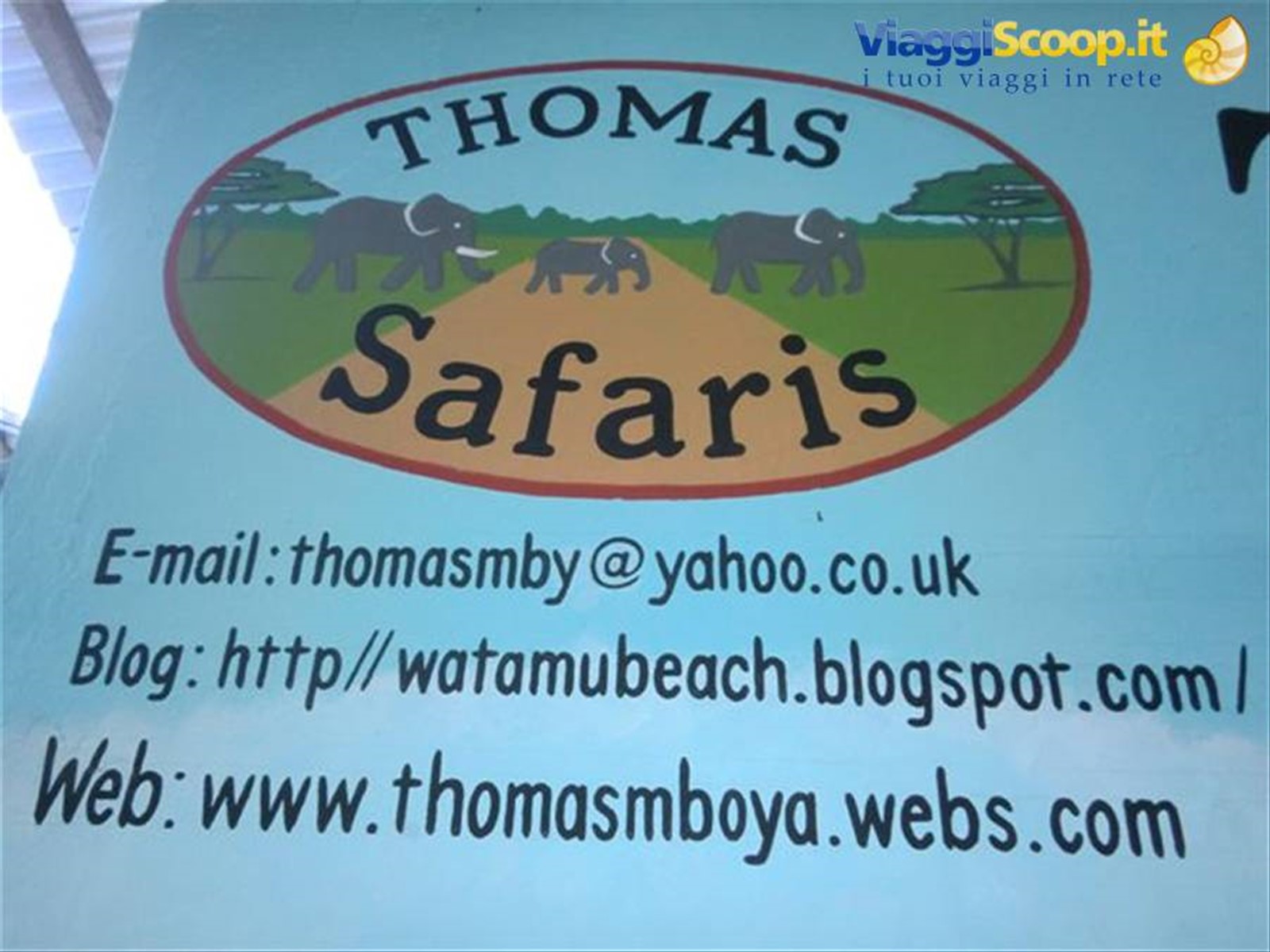 LA THOMAS TOURS E SAFARIS DA 5 ANNI USATA SENZA MAI DELUDERCI!
