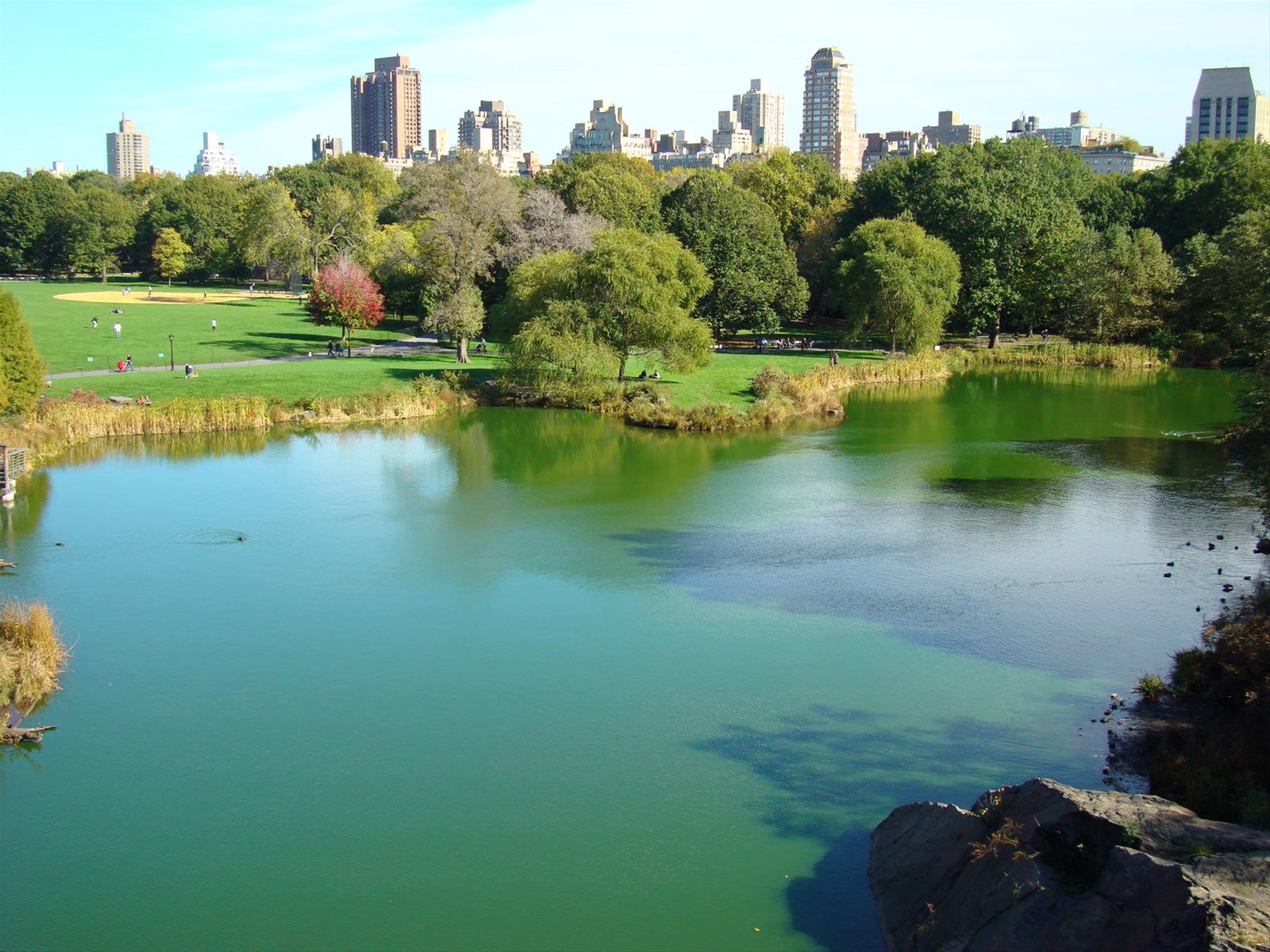 Central park