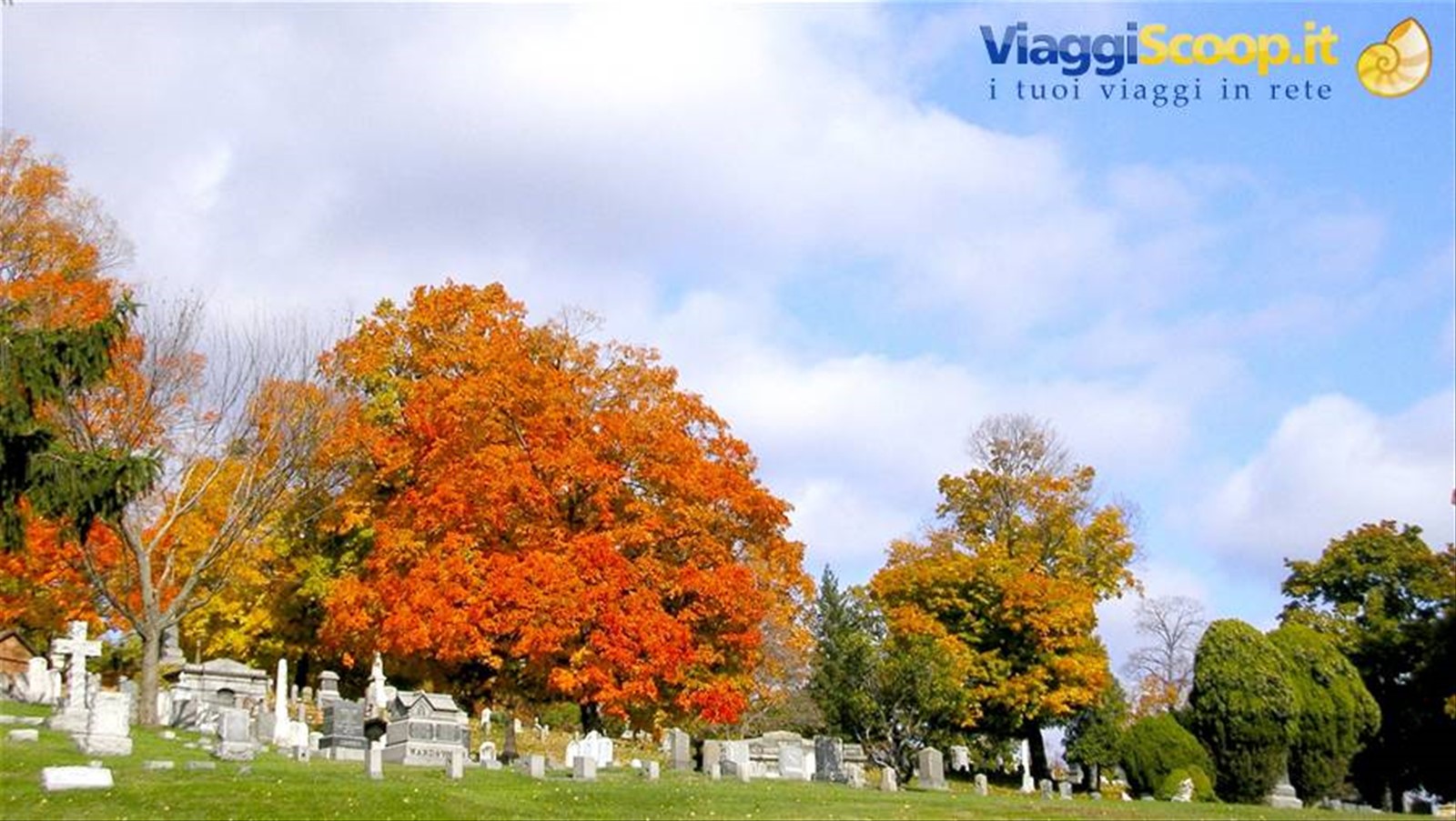 Foto di viaggio in STATI UNITI D'AMERICA