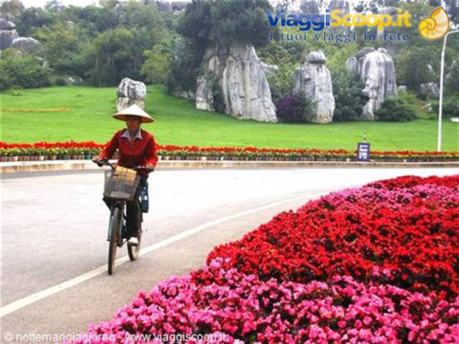 Kunming -foresta di pietra