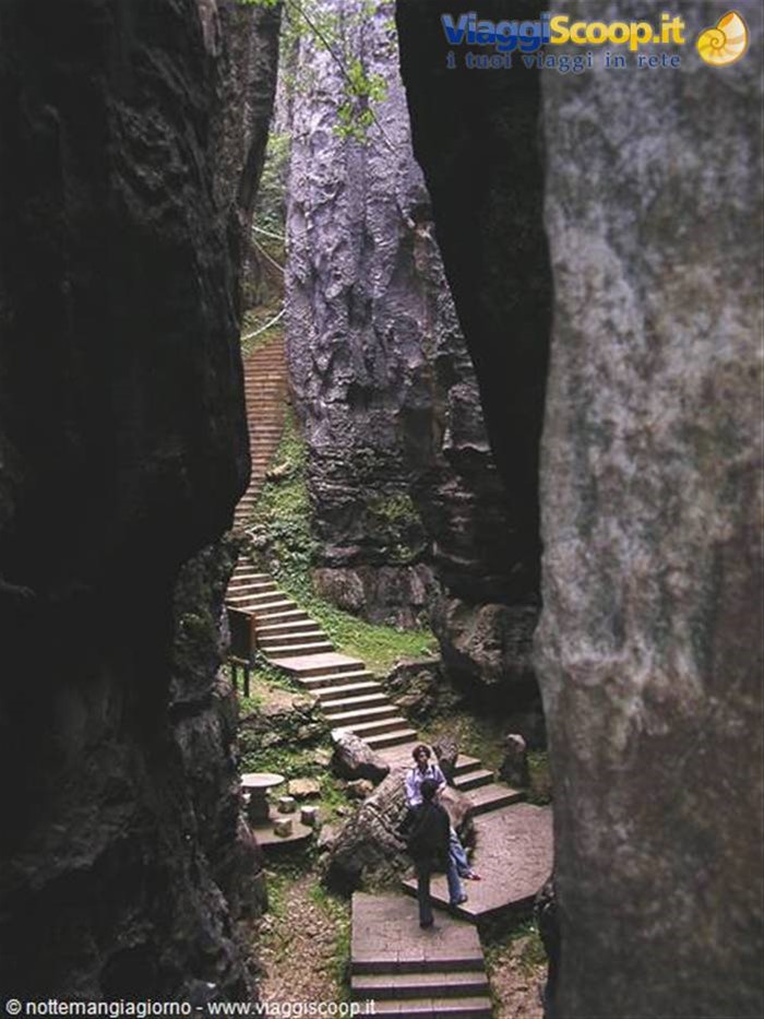 Kunming -foresta di pietra