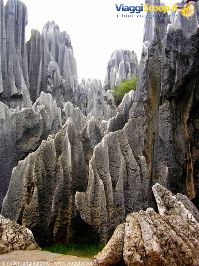 Kunming -foresta di pietra