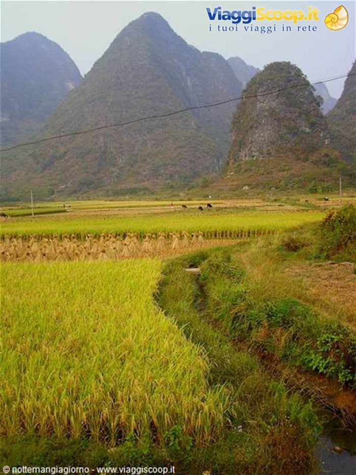 Yangshou