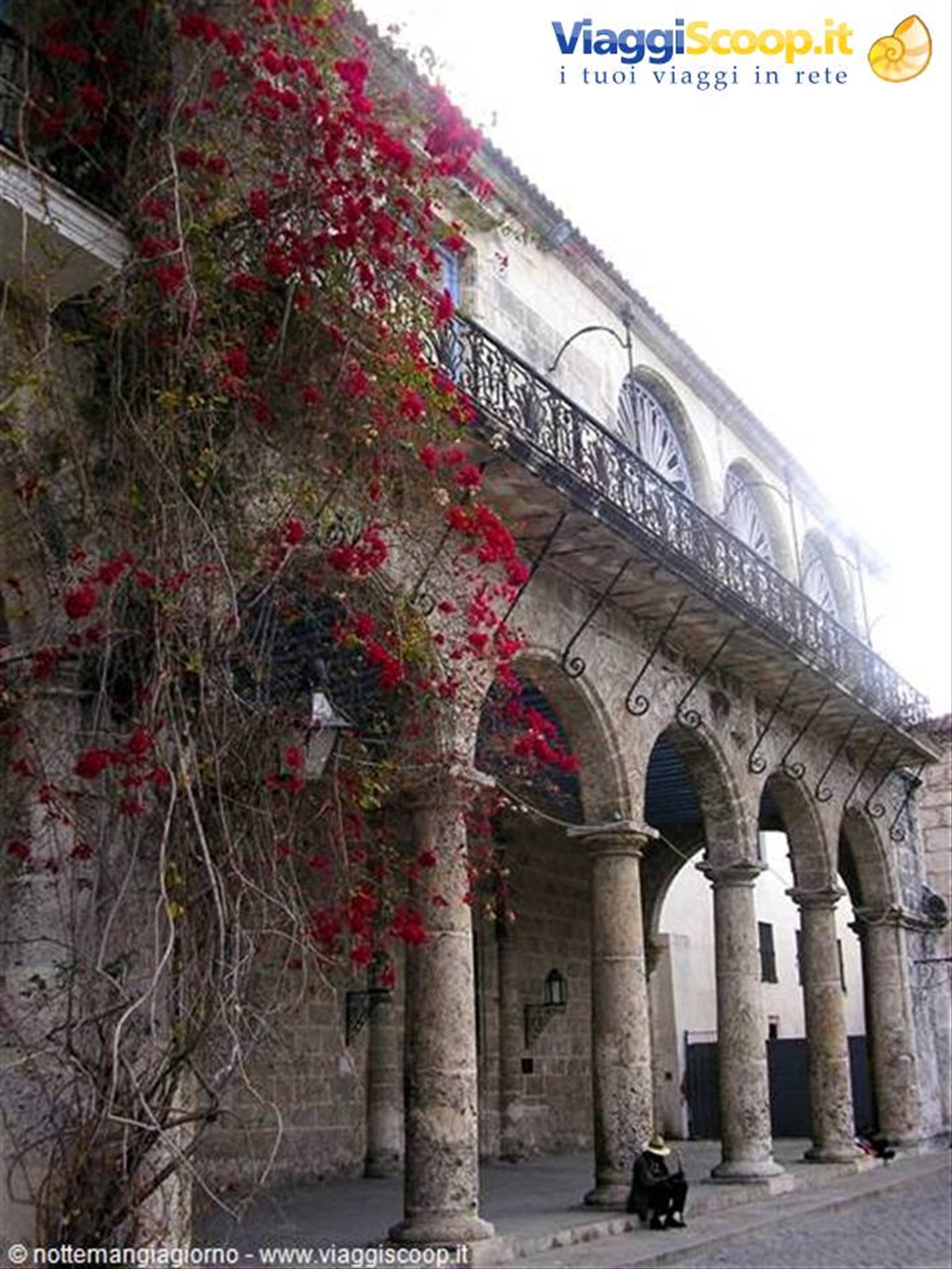 Habana