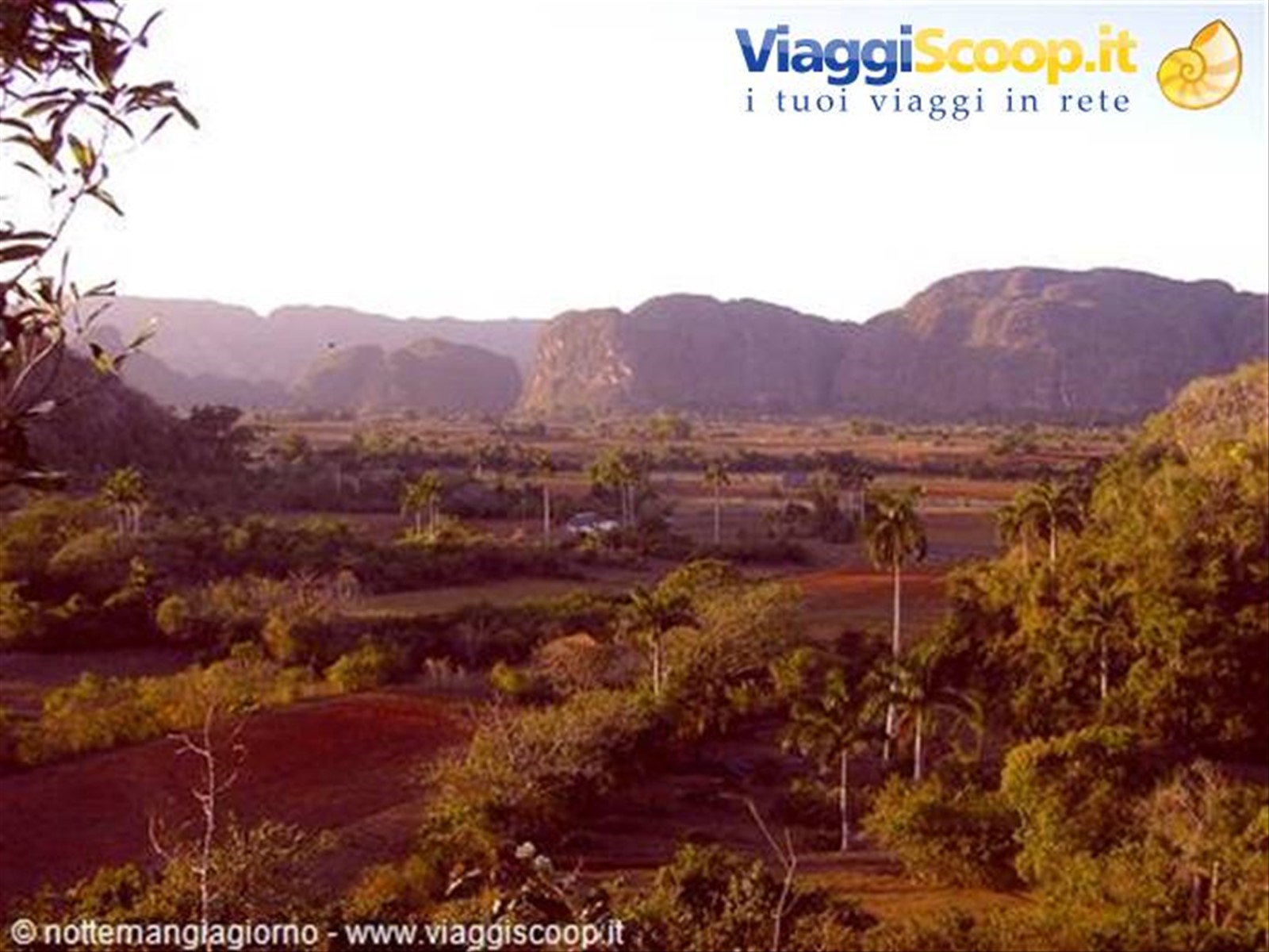 Vinales