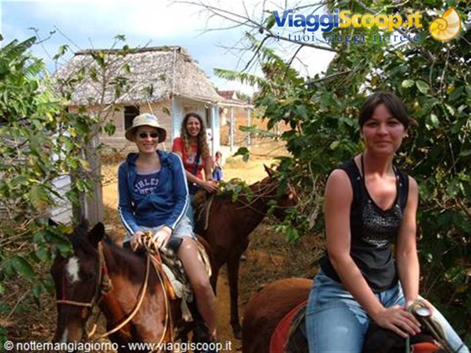 Vinales