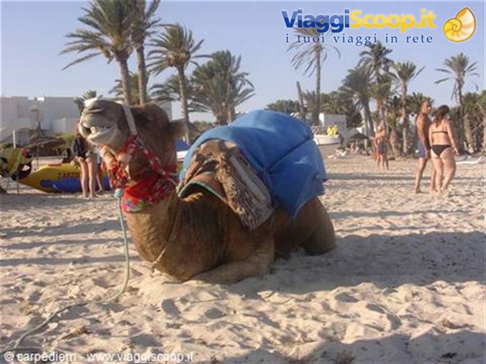 Jerba