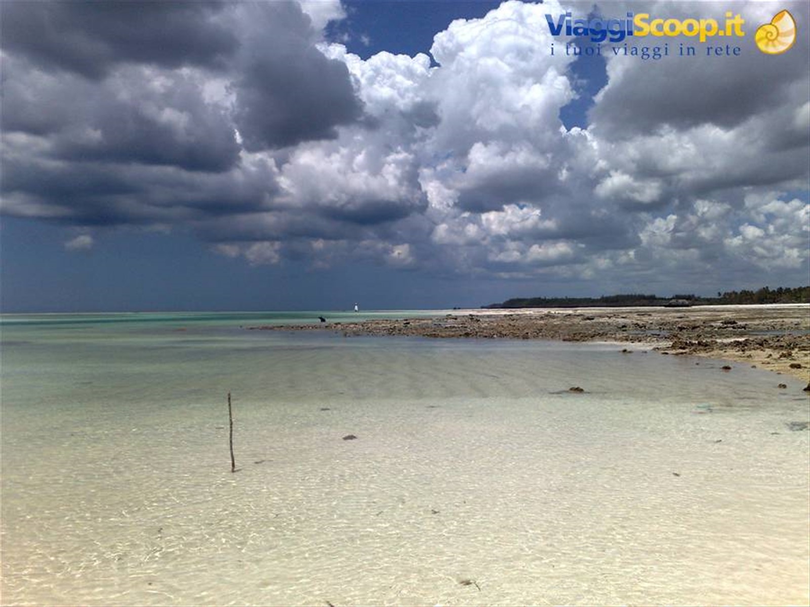 Foto di viaggio in TANZANIA