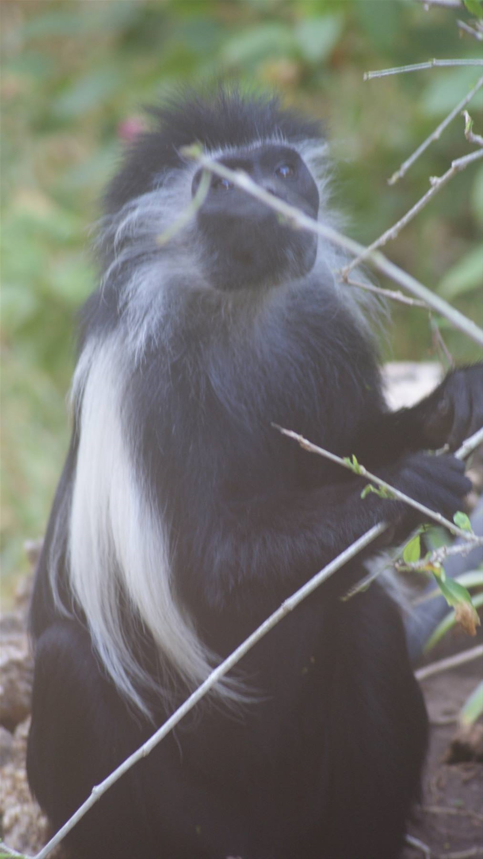 Foto di viaggio in KENYA