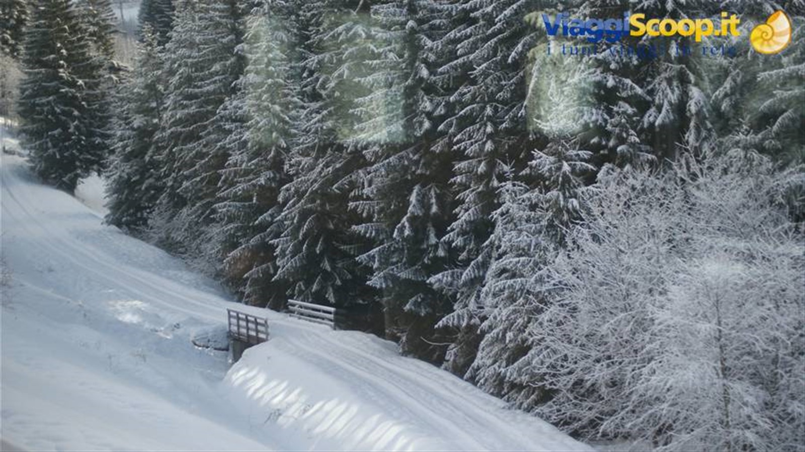 Foto di viaggio in AUSTRIA