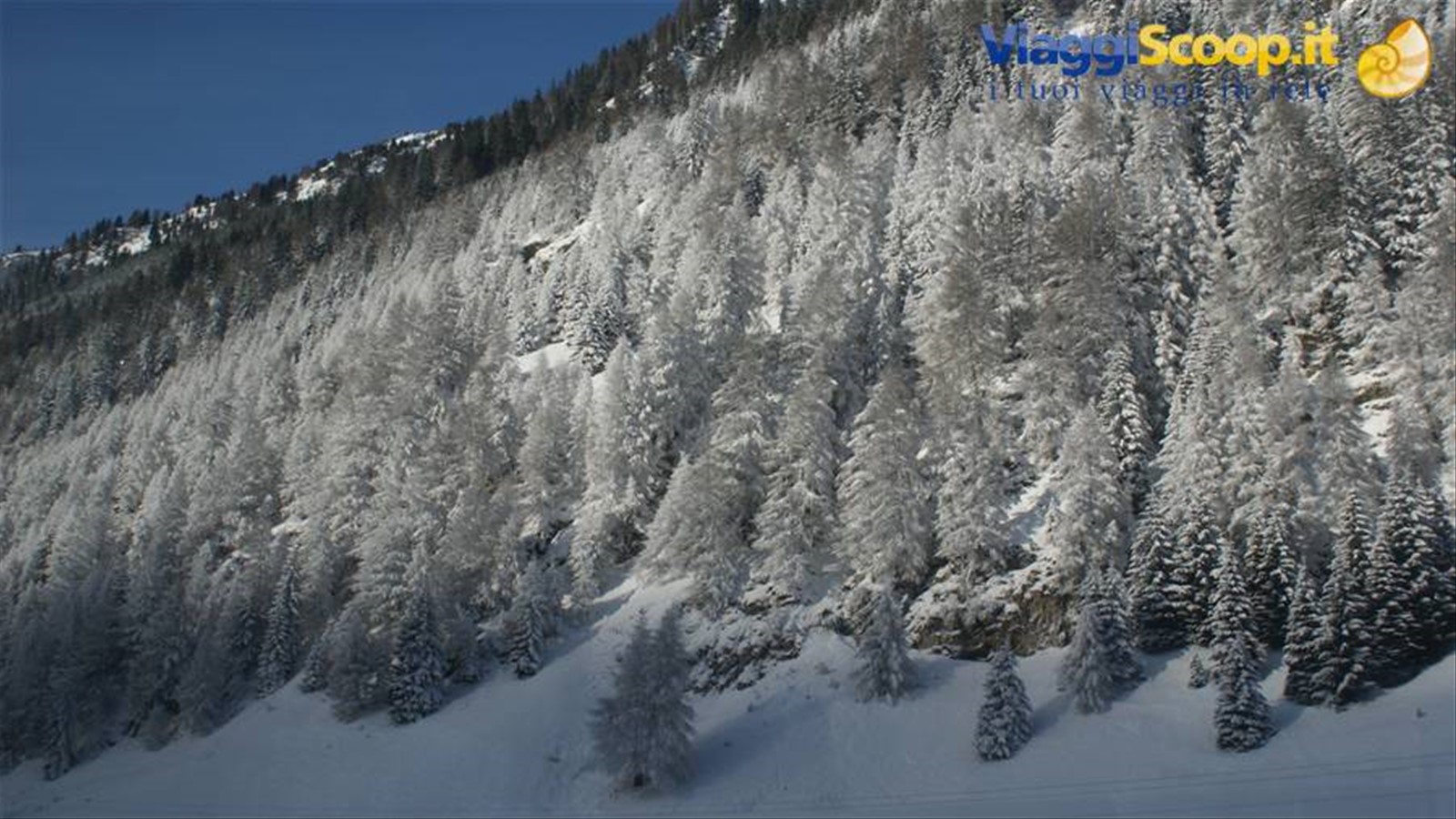 Foto di viaggio in AUSTRIA