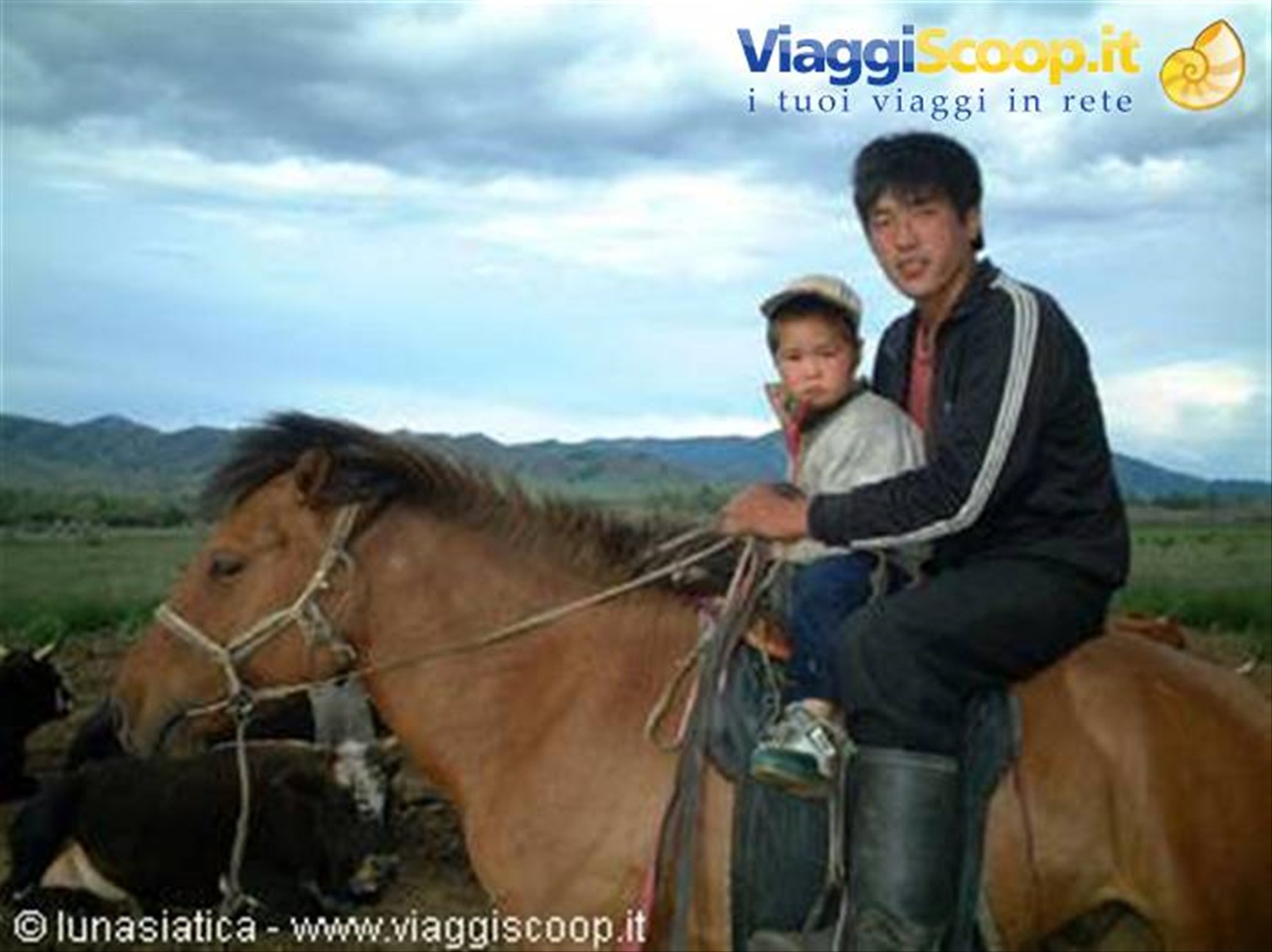 si vive sul cavallo