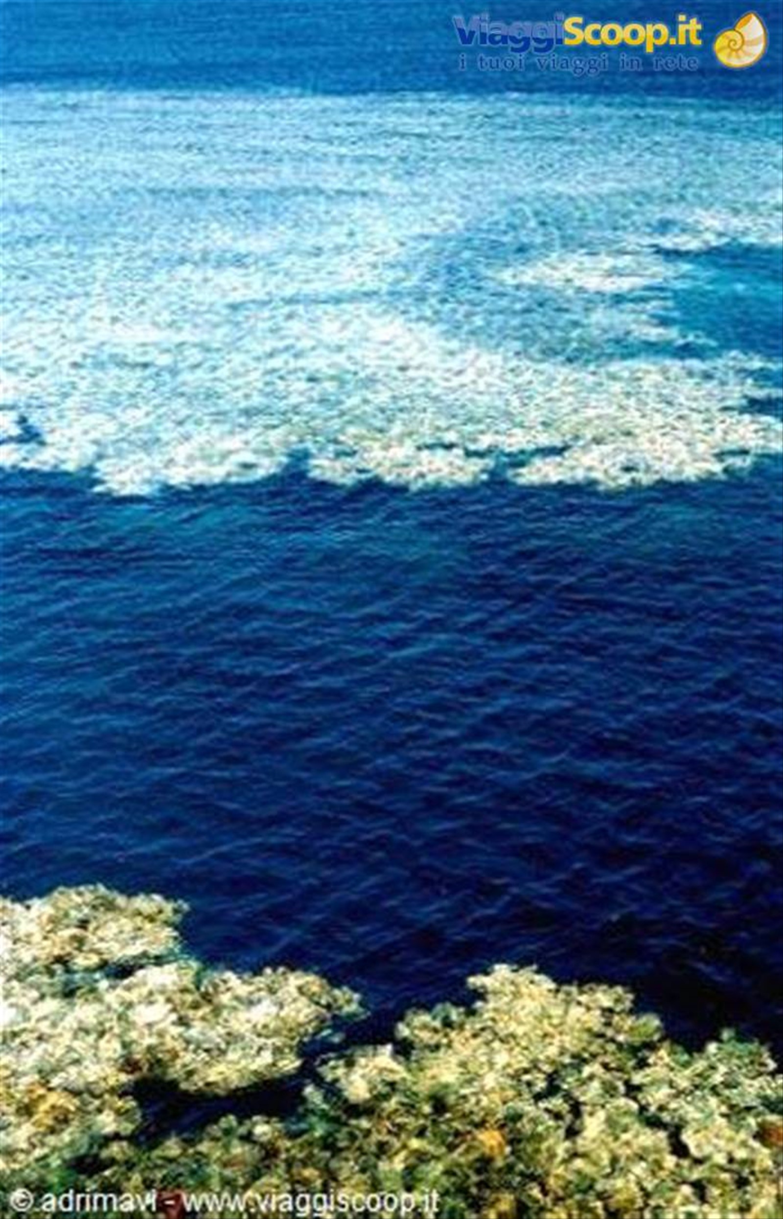 reef a Sharm el Sheikh