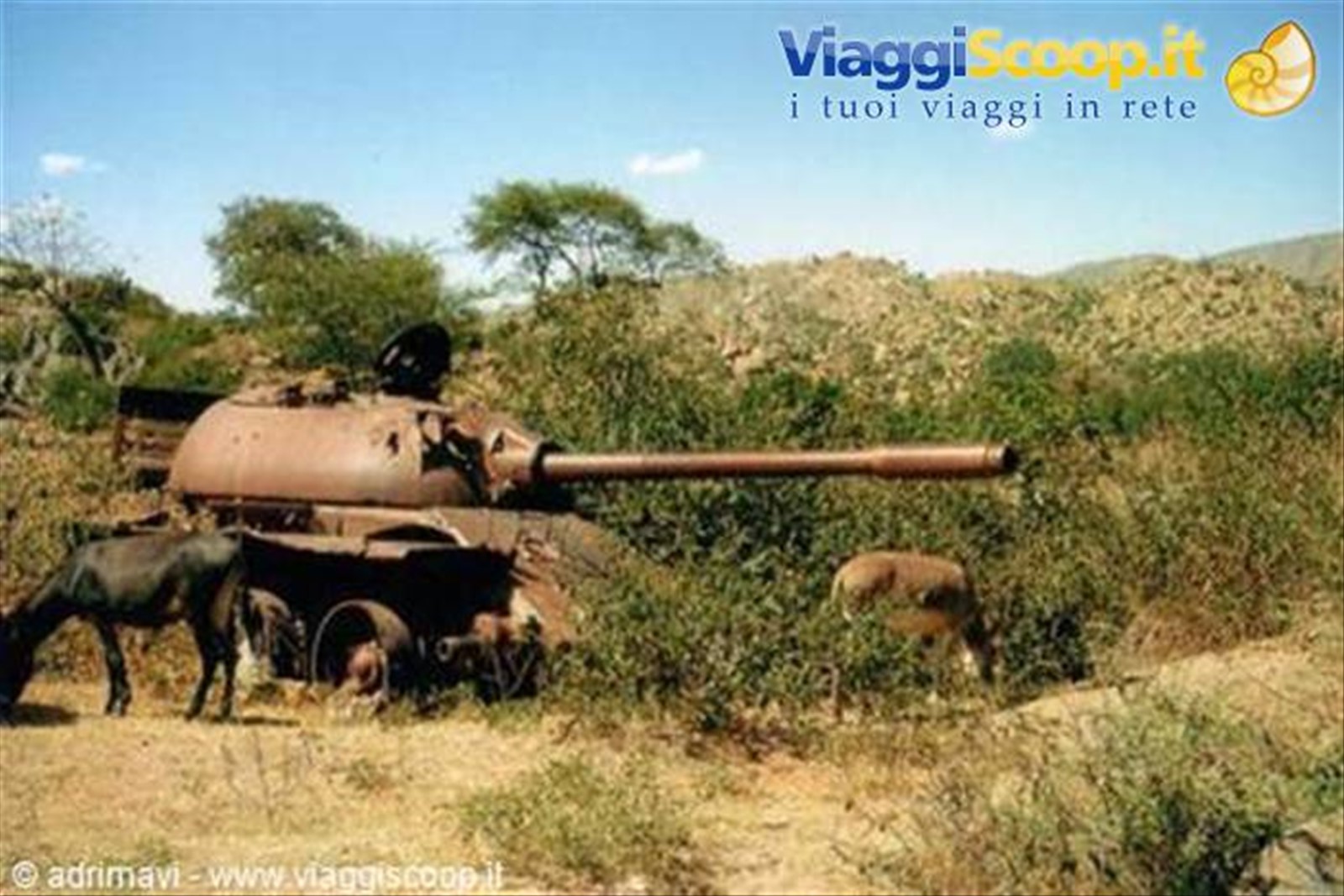 i segni della guerra, strada Keren - Massawa
