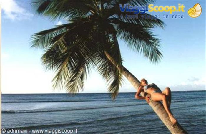 playa Las Terrenas