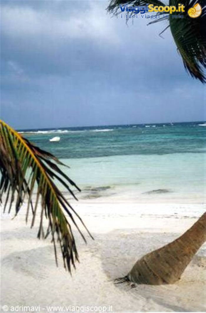 scorcio spiaggia di Akumal - riviera maya