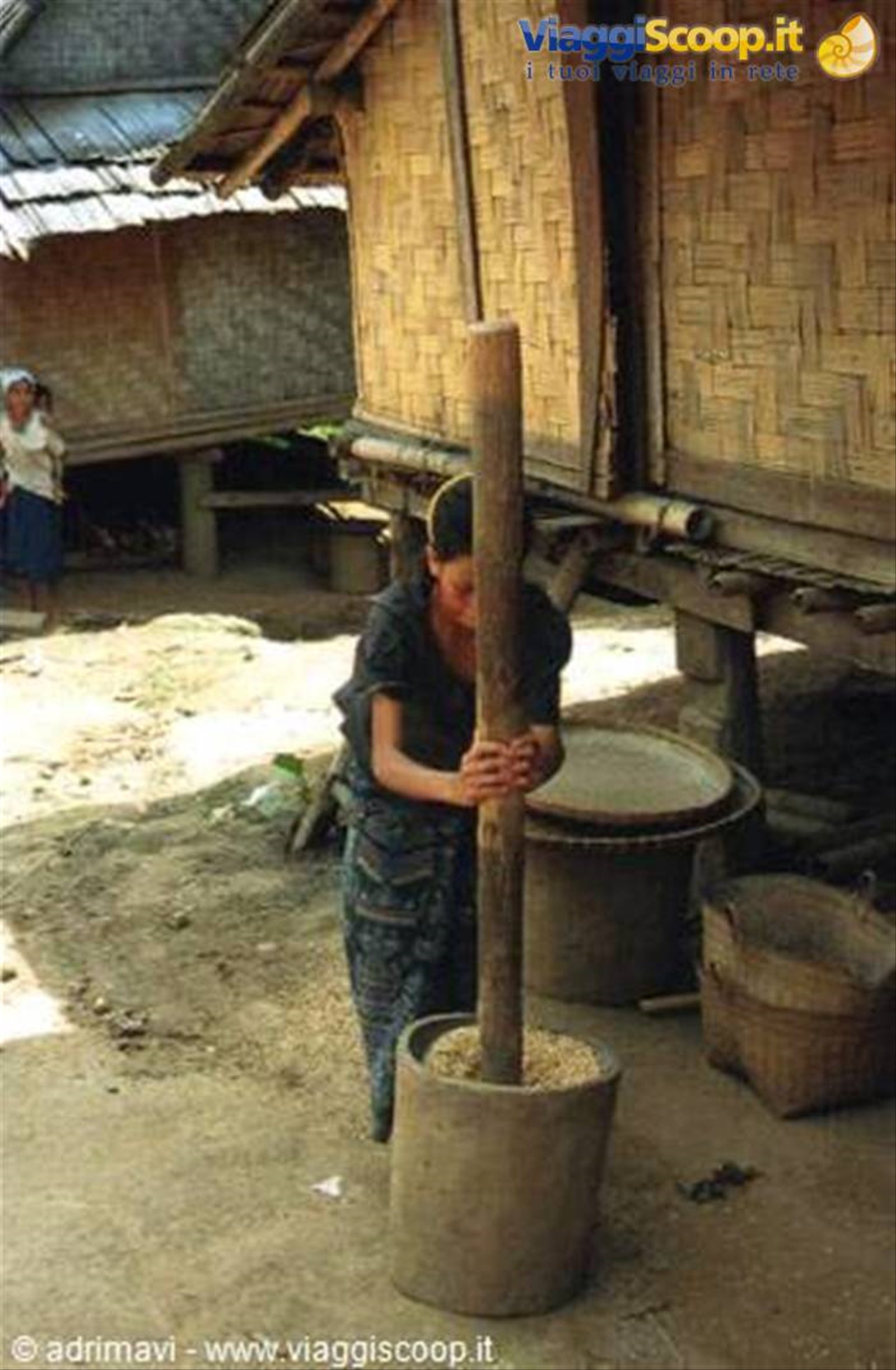 lavorazione del riso - Mekong
