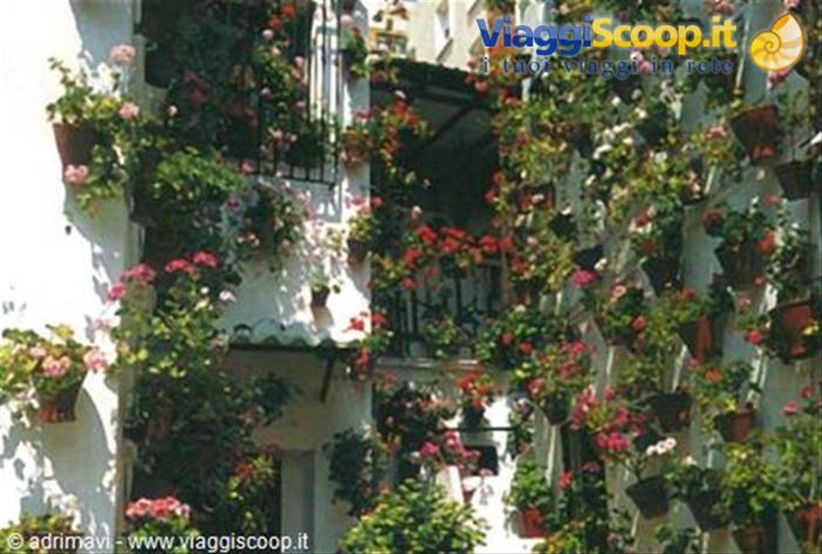 Siviglia - Barrio Santa Cruz