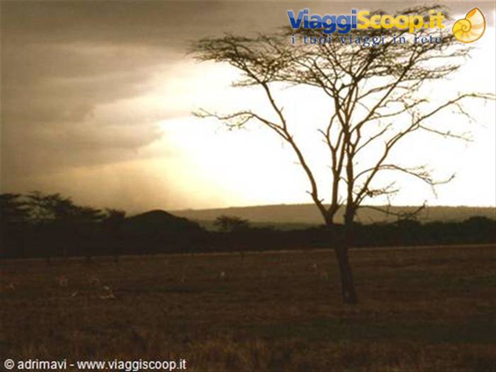 Nakuru National Park